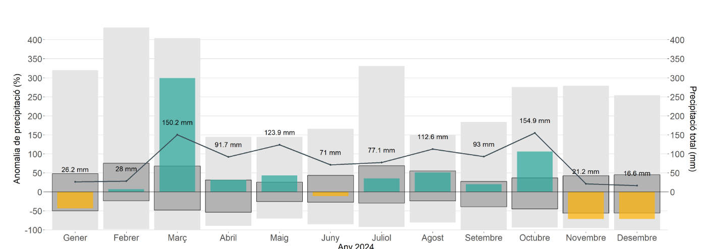Evolució de les precipitacions durant el 2024.