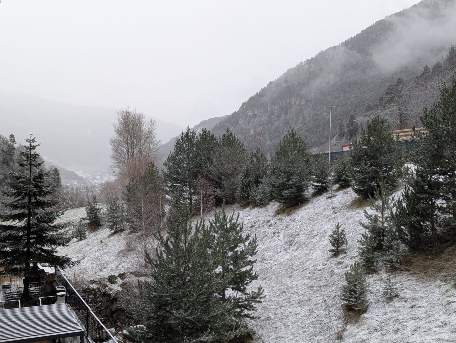 WhatsApp Image 2025 03 14 at 08.15.43 WhatsApp Image 2025 03 14 at 08.15.43