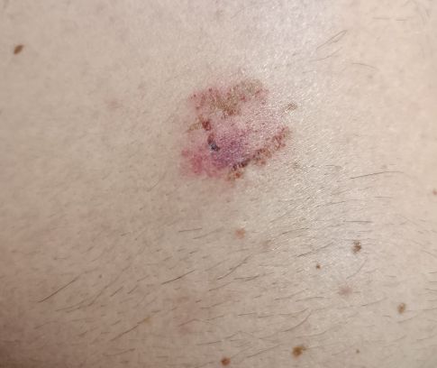 WhatsApp Image 2025 04 08 at 12.02.48 (1) WhatsApp Image 2025 04 08 at 12.02.48 (1)