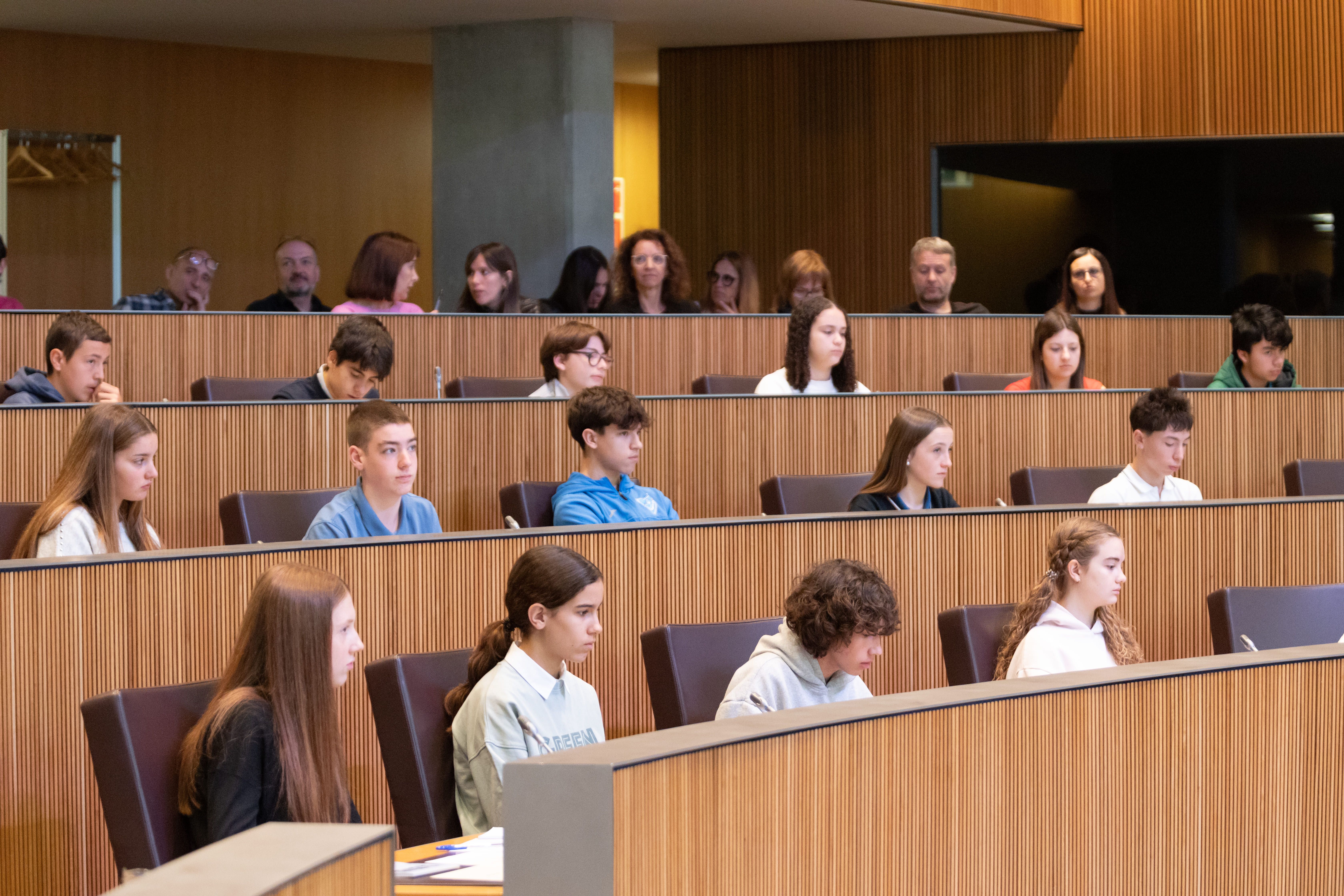 Un instant del 23è Consell General dels Joves. Un instant del 23è Consell General dels Joves.
