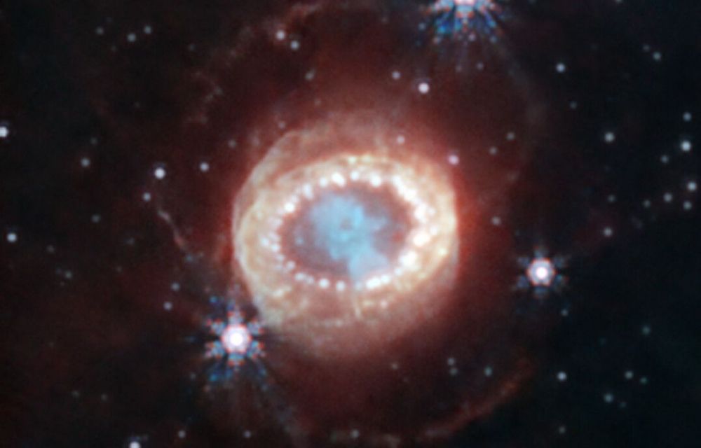 La supernova SN1987A vista pel telescopi James Webb. Aquesta supernova va produir molt dels elements químics més lleugers però pocs elements pesats com l'or - Crèdit: NASA, ESA i CSA La supernova SN1987A vista pel telescopi James Webb. Aquesta supernova va produir molt dels elements químics més lleugers però pocs elements pesats com l'or - Crèdit: NASA, ESA i CSA